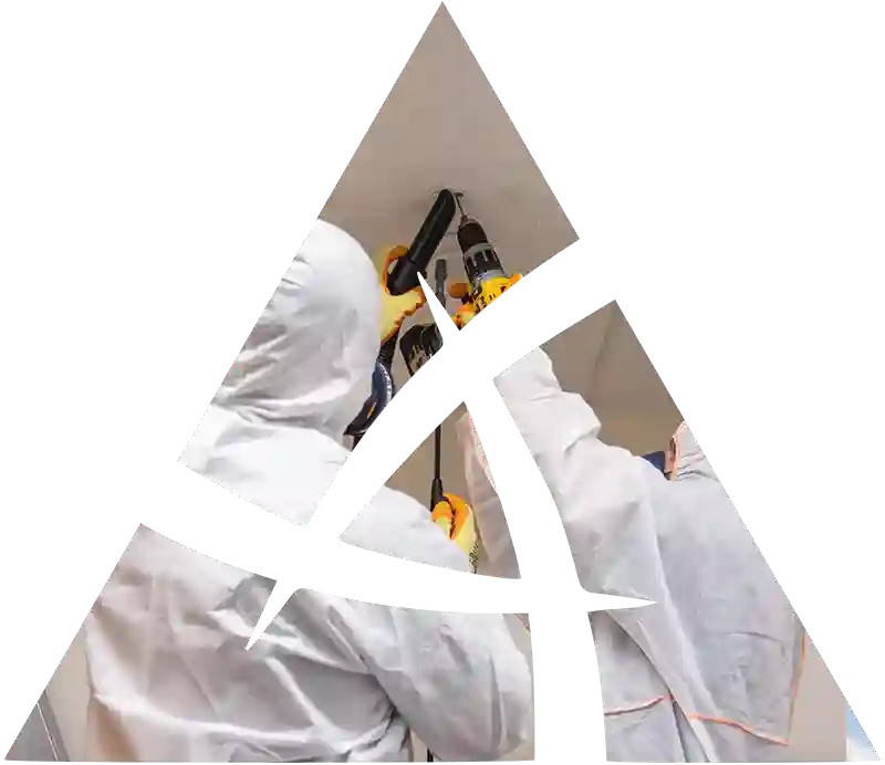 g-and-l-icon-image-800x692-07 R2 (1)