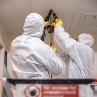 asbestos survey and removal